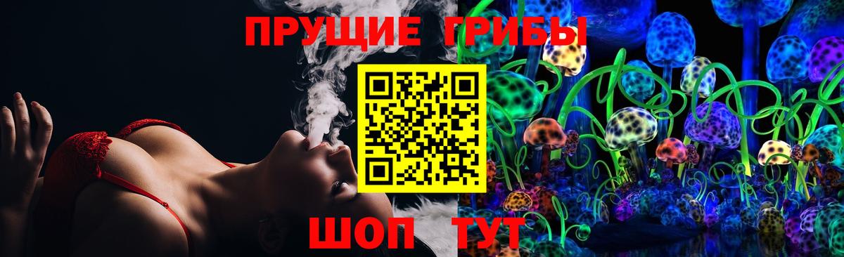 Галлюциногенные грибы Cubensis Чита